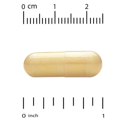 ツーパーデイ マルチビタミン タブレット Two-Per-Day Multivitamin tablets 60粒 Life Extension